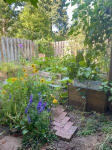 view into small kitchen garden