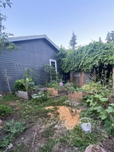 view of garden to house