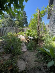 view of garden with vegetables