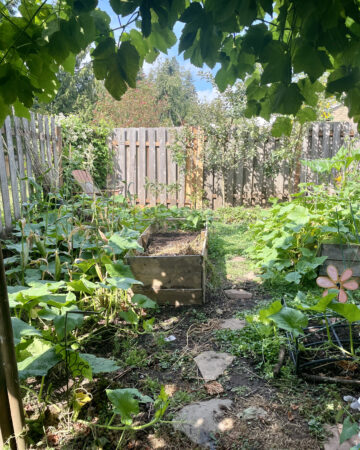 view into garden September