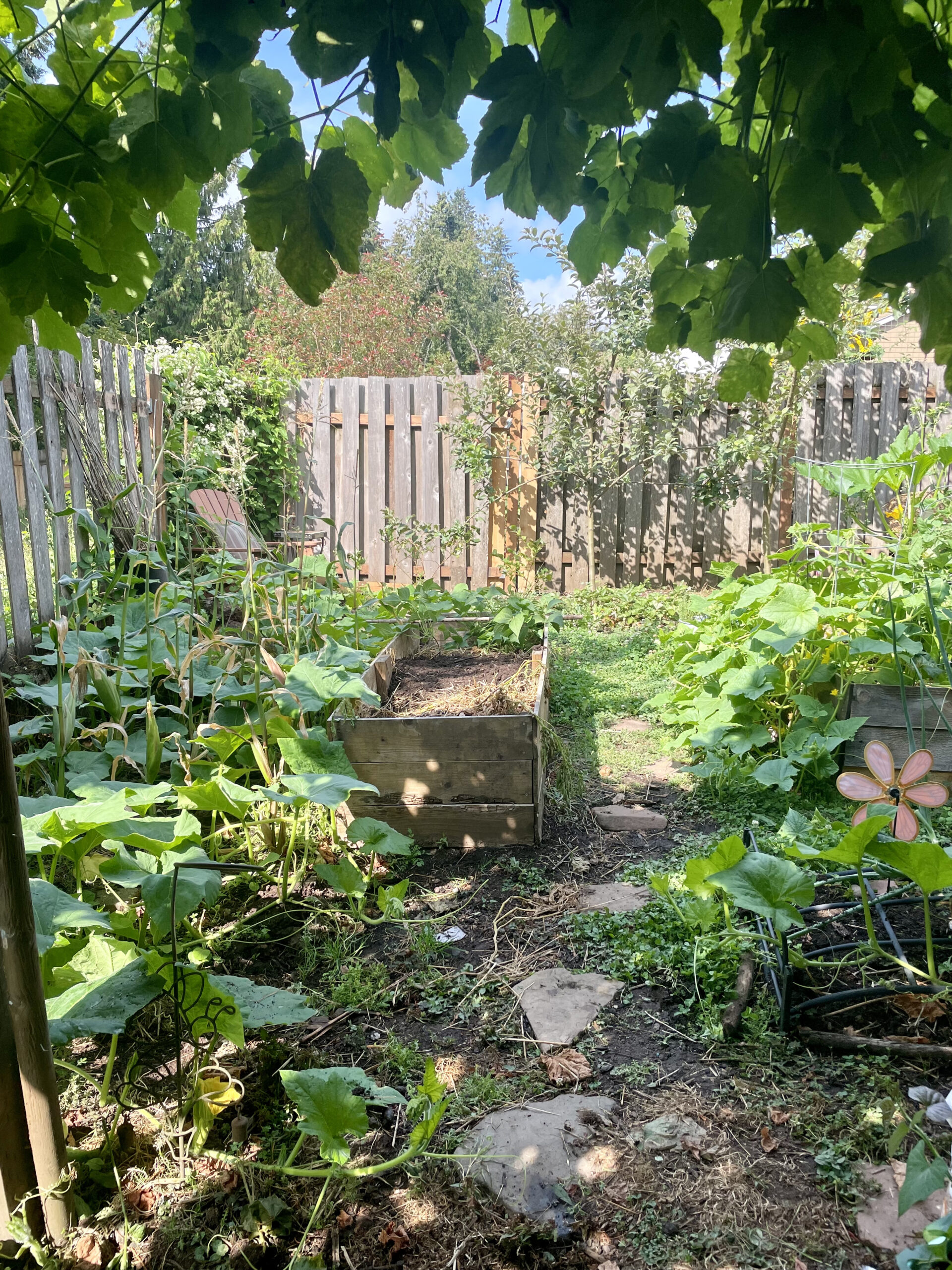 view into garden September