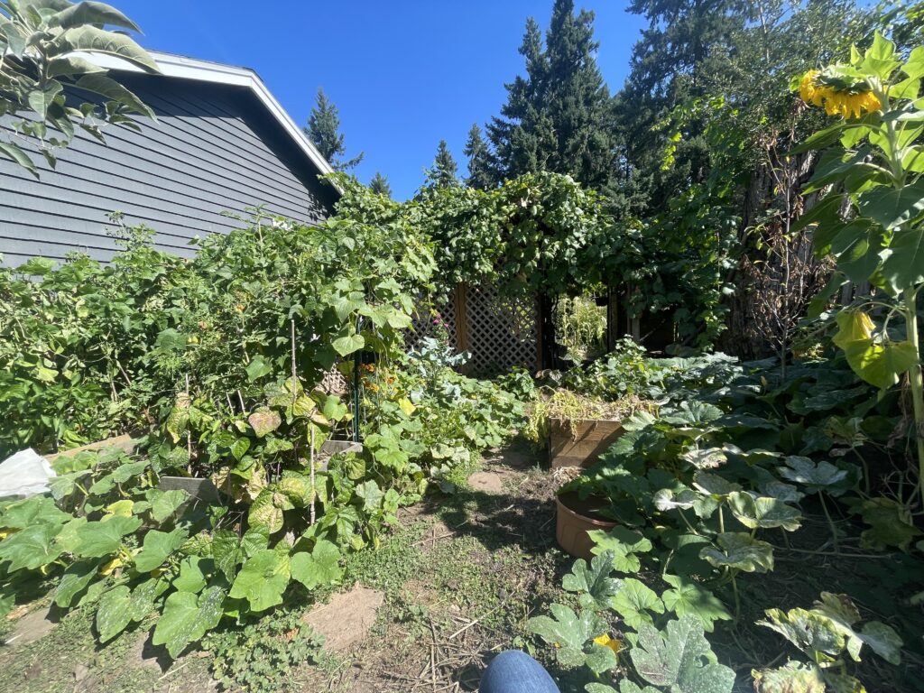 image of garden with vegetables and flowers