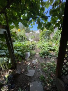 image into garden with vegetables and flowers