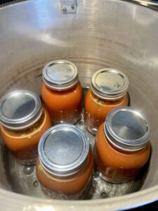 Homemade beef stew filling quart sized jars in the pressure canner