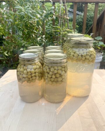 jars of grape juice