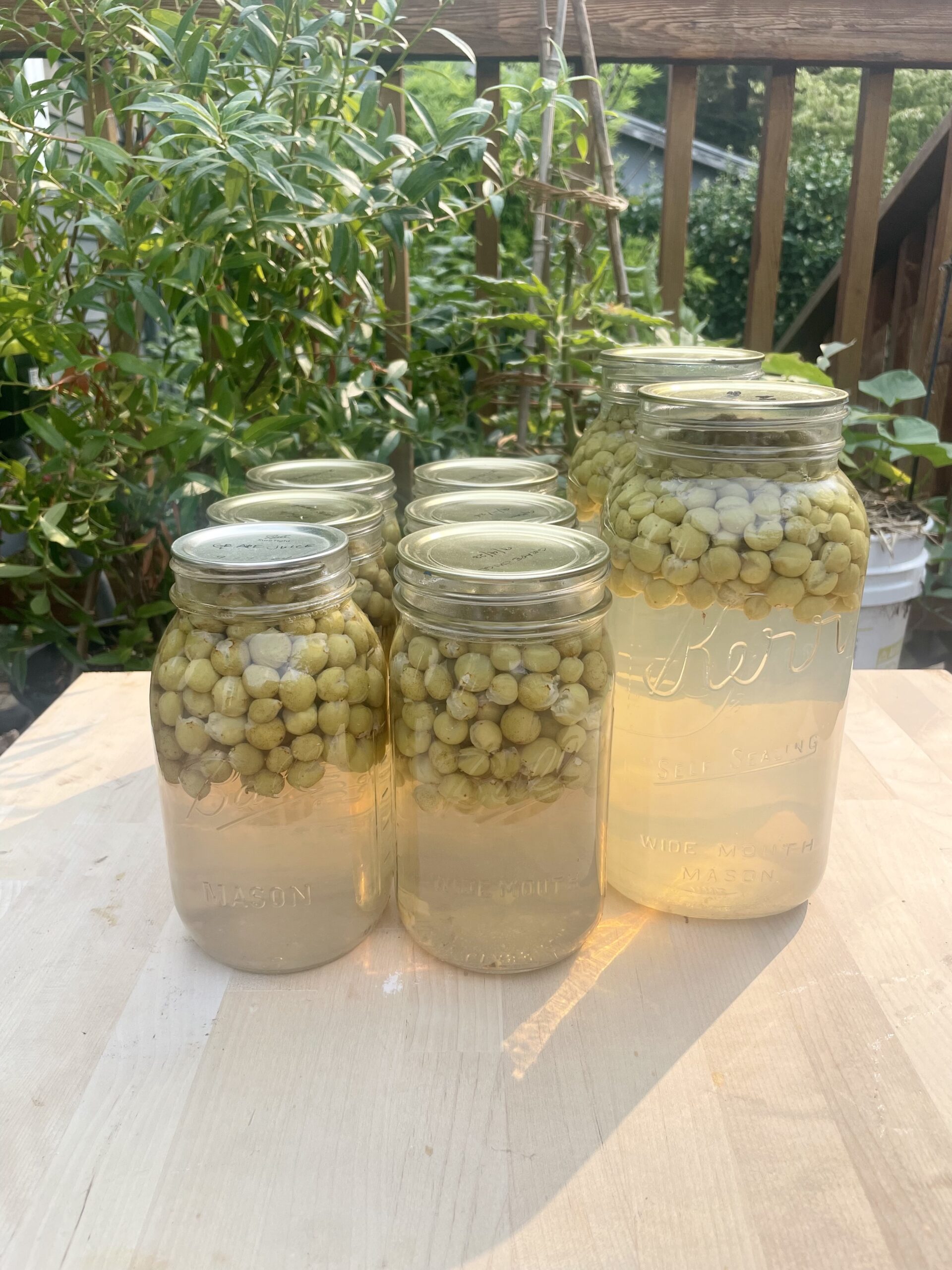 jars of grape juice