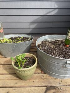 different tubs and pots used for growing vegetables in container gardening