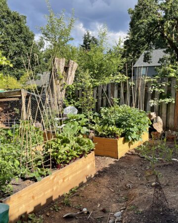 Learn what to plant in March so your garden can look like this in just a few months!