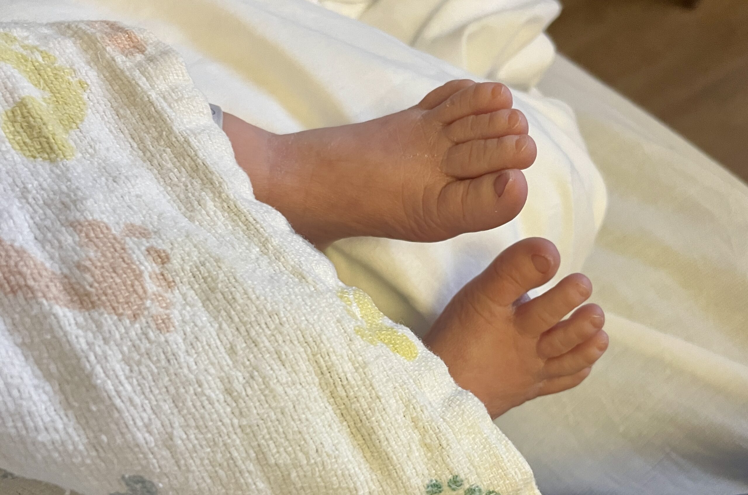 baby toes